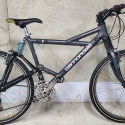 1993 CANNONDALE Delta V1000 