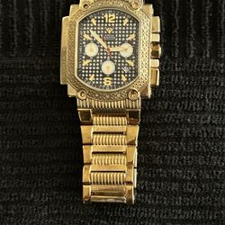 Aqua Master Men’s Watch 