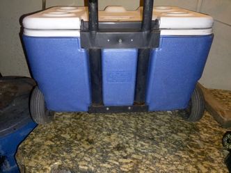 Cooler