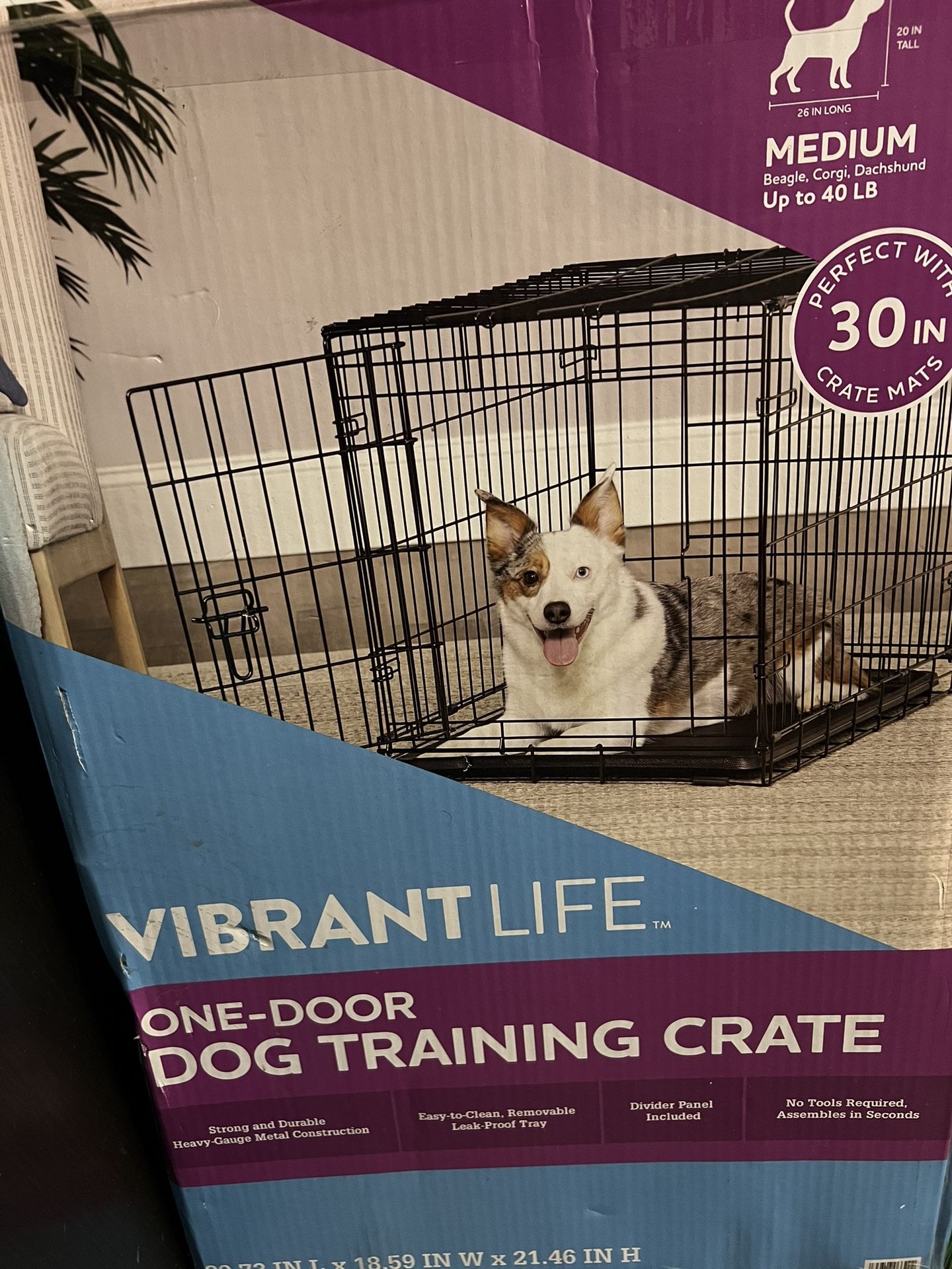 One-Door Dog Training Crate