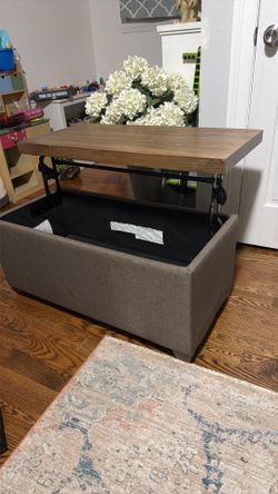 Baúl de almacenamiento con tapa elevable