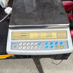 AE Adam Scale