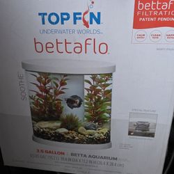 Fish Aquarium