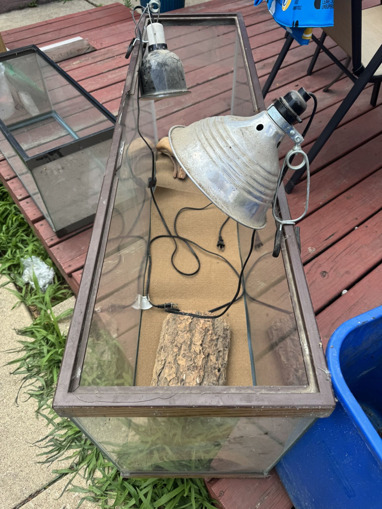 Need Gone