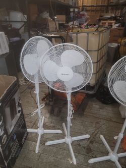 New White Penguin Fans $20 Each 