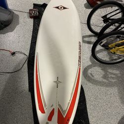 5’10” Fish BIC Surf Board 