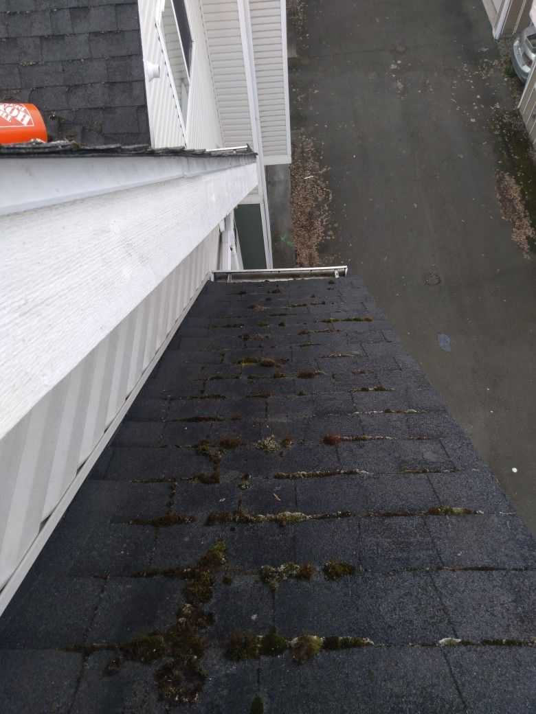 Roof, Gutter, Moss, Window Cleaner Holiday lights 