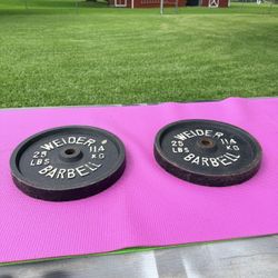 WEIDER WEIGHTS (1” Hole)