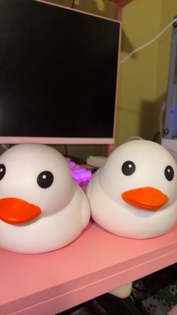 White squishy duck