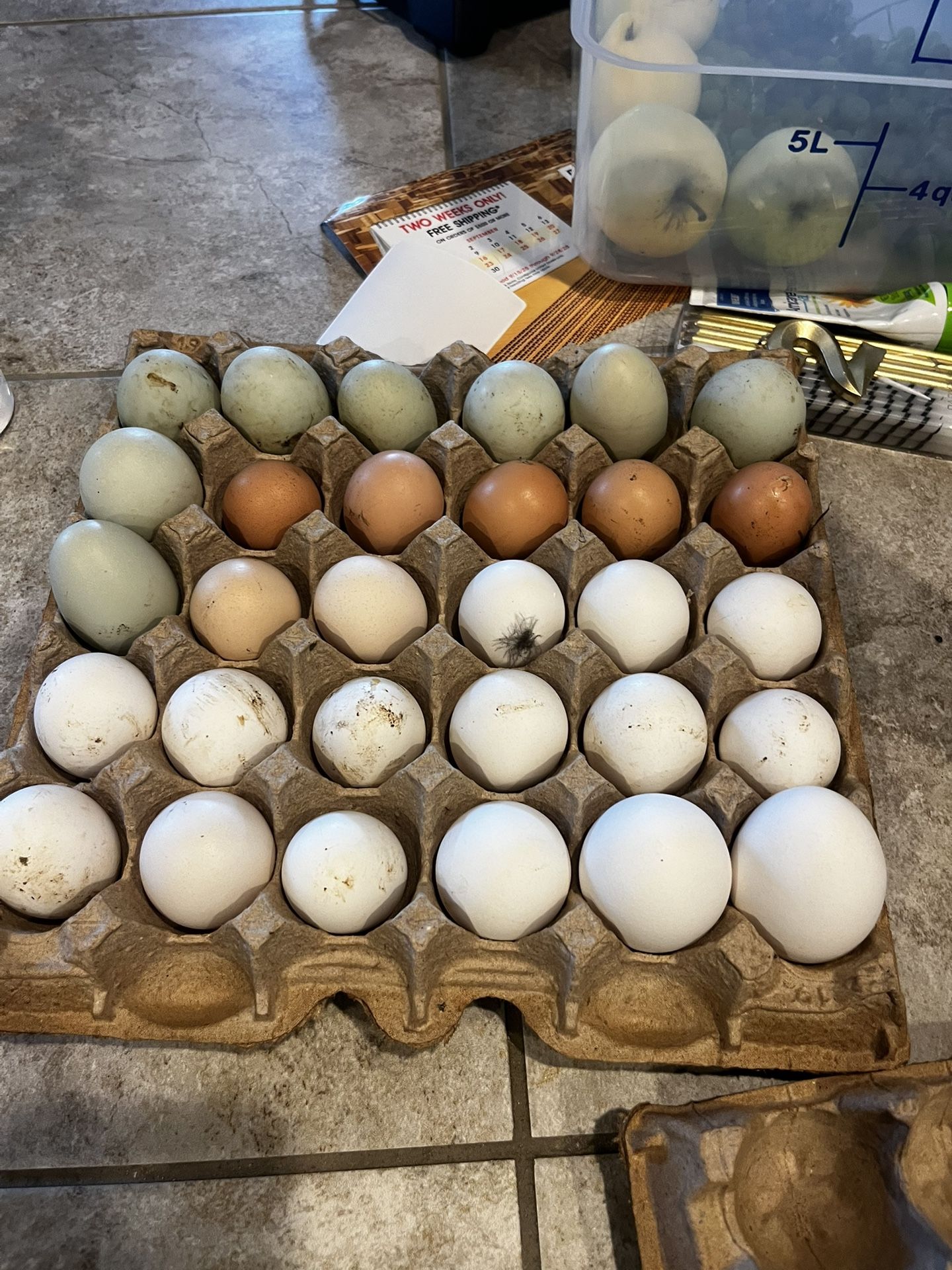 Eggs
