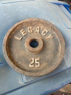 Single 25 pound Olympic dumbbell