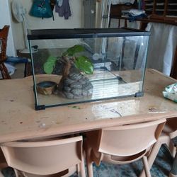 Aquarium / Reptile Cage