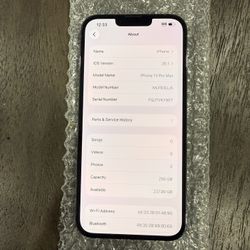 iPhone 13 Pro Max 256GB