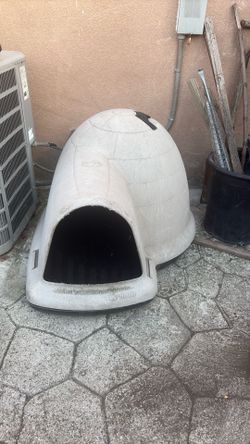 Dog House