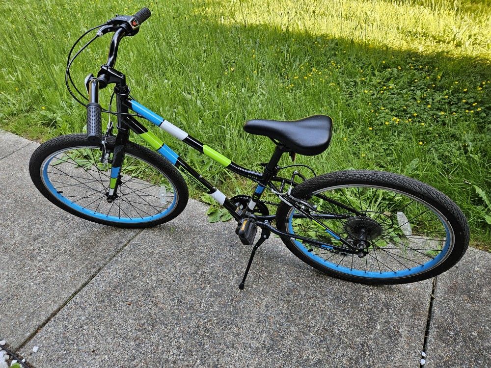Youth Guardian Ethos Bike 24 Inch