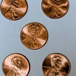 2025 Bu Uncirculated Ungraded No Mint Mark Sheild Pennies,Lot Of Five Coins 