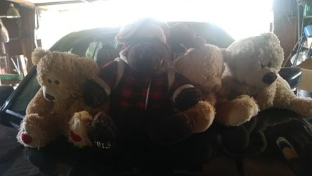 Stuff animals