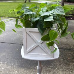 Box With Fake Flower