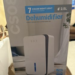 Oneskin Dehumidifier for Home, 1000 sf