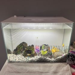 5 Gallon Tank Aquarium Pecera Top Fin