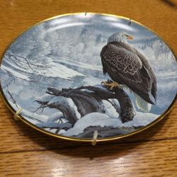Winter In The Valley Seasons Of The Bald Eagle Plate Collection John Pitcher 