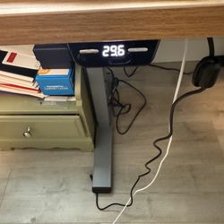 Flexispot Electric Standing Desk
