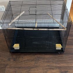 Bird Cage