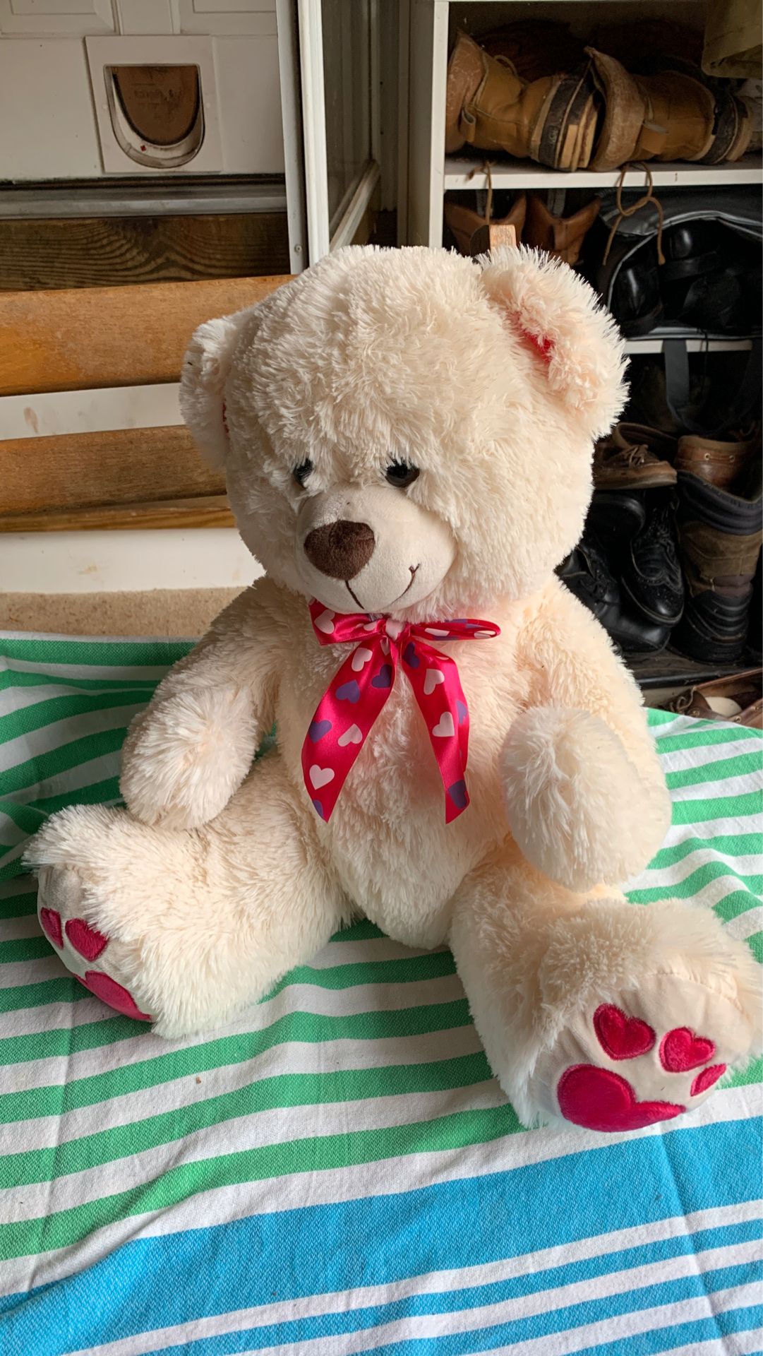 Valentines Teddy Bear