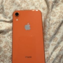 iPhone Xr (coral)