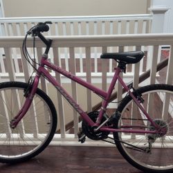 Magna Mountain Tamer 15-Speed Bike