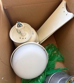 Ceiling Fan