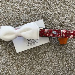 New Medium Collar And Bow