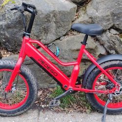 2023 Pedego Element Fat Tire Ebike