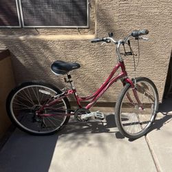Raleigh Venture Hybrid Women’s Bike