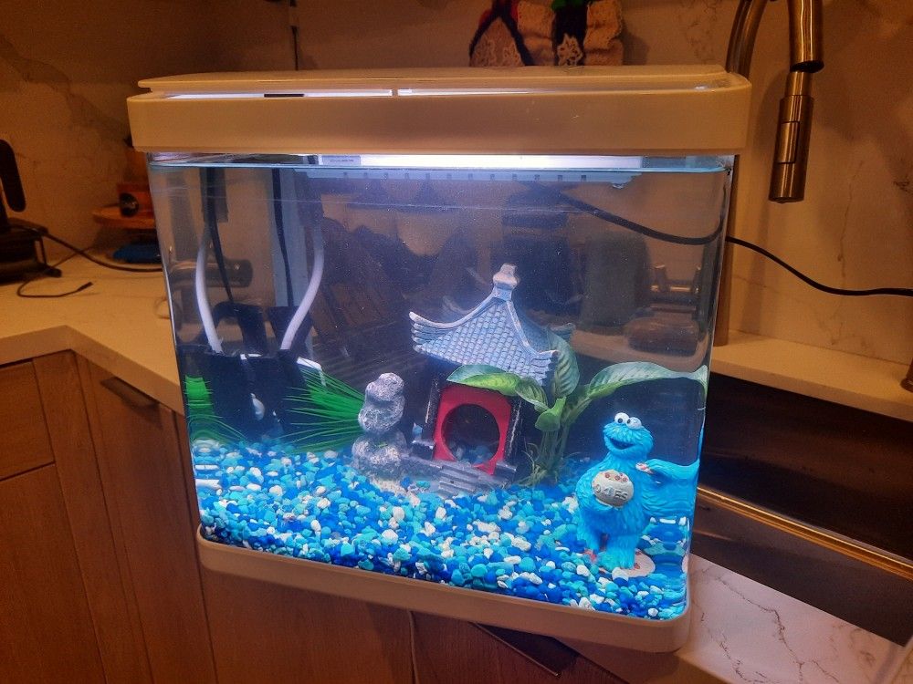 Small Fish Tank With All Accessories
