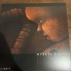 Linkin Park Hybrid Theory Vinyl
