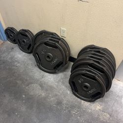 Weights 