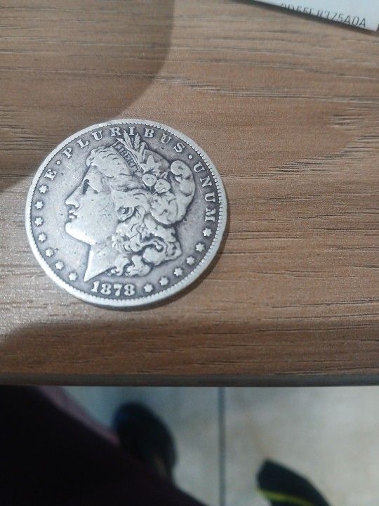 Morgan Dollar 1878
