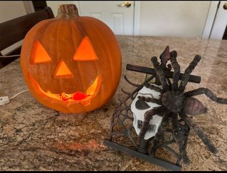 Halloween Classics Plug-in Happy Jack-O-Lantern With Spider Decoration
