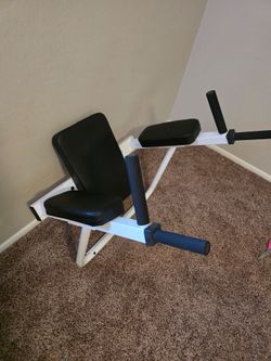 Workout equipment. Wall Mount Dip Station w/ Vertical  Knee Raise Station