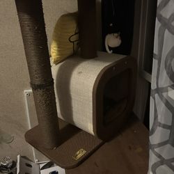 Cat Tree