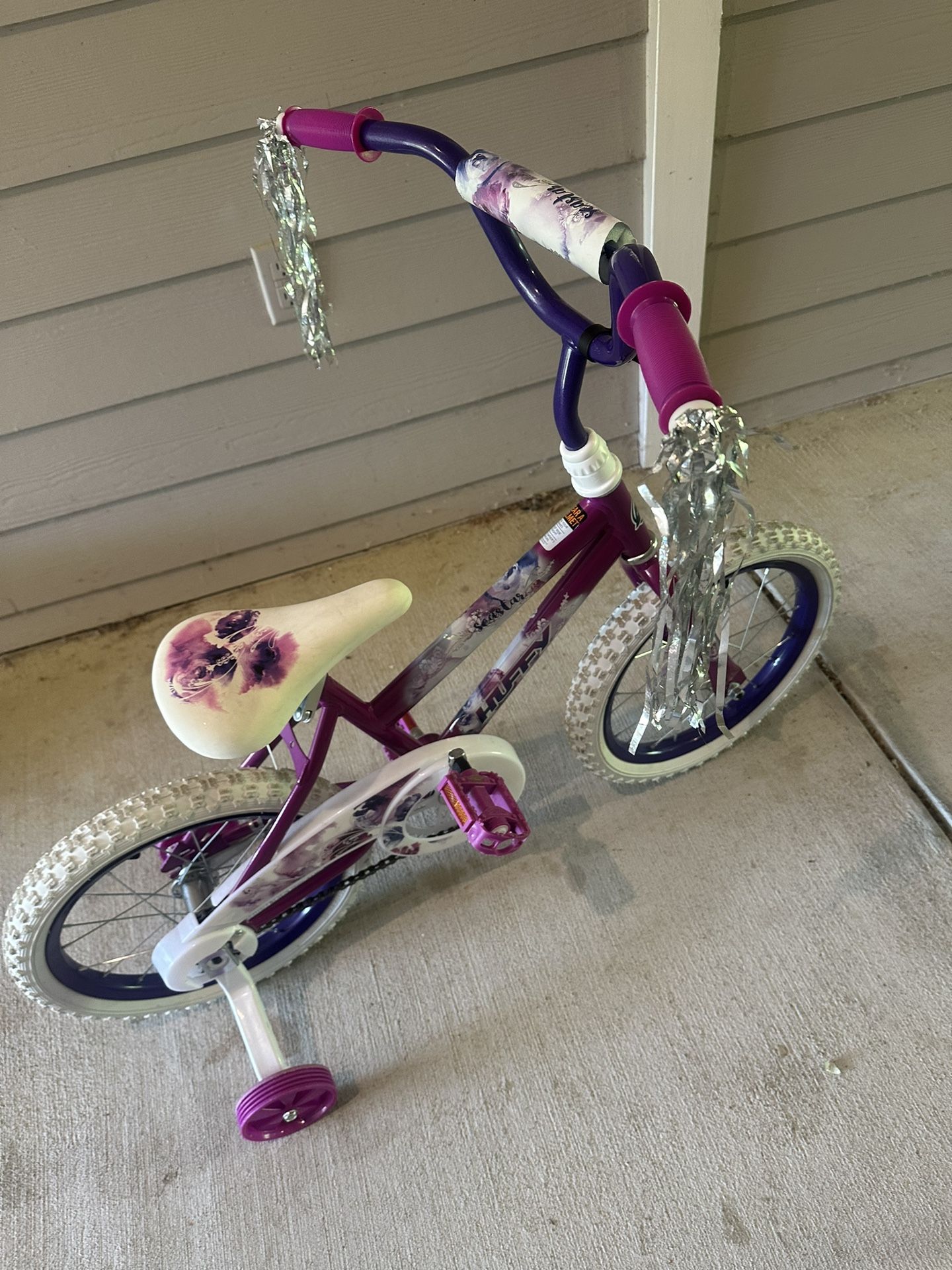 Seastar Huffy Bike