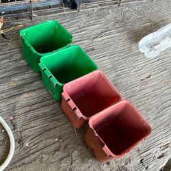 Chicken Trays
