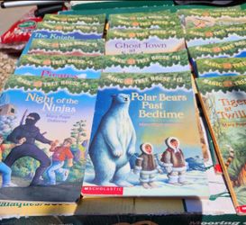 Magic Tree House book lot by Mary Pope Osborne