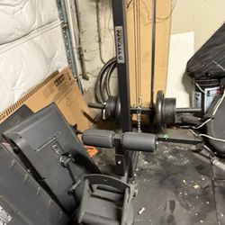 Lat Pull Down 