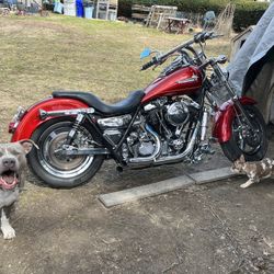 91 Harley FXRS Low