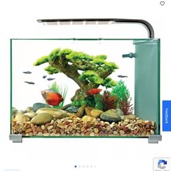 5 Gallon FISH AQUARIUM 