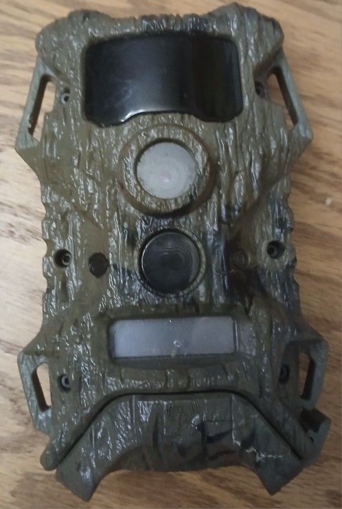 Trail Cam