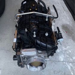 Tbss Intake 