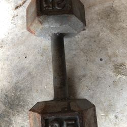 Dumbbell 25lbs